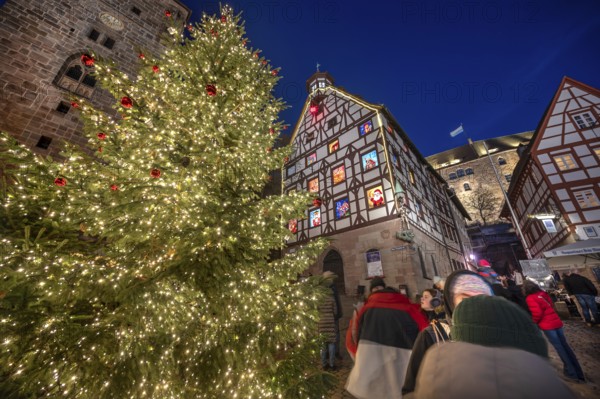 Illuminated Christmas tree with the historic Pilate House with advent calendar, in the evening lighting, the castle in the back, Beim Tiergärtnertor, Nuremberg, Middle Franconia, Bavaria, Germany