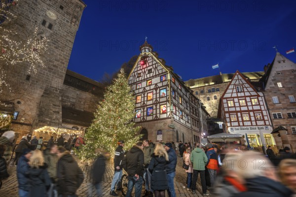 Illuminated Christmas tree with the historic Pilate House with advent calendar, in the evening lighting, the Kaiserburg in the back, Beim Tiergärtnertor, Nuremberg, Middle Franconia, Bavaria, Germany