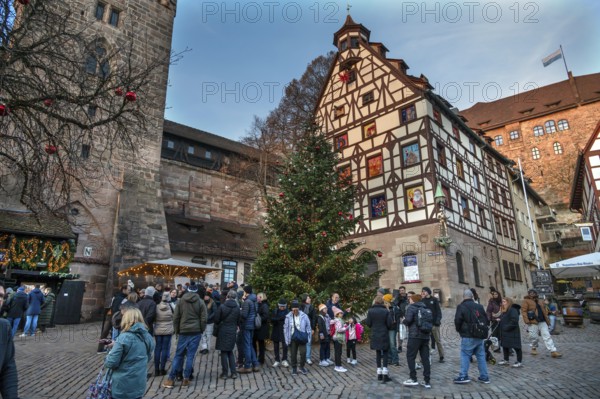 Decorated Christmas tree in front of the historic Pilate House with advent calendar in the evening sun, Beim Tiergärtnertor, Nuremberg, Middle Franconia, Bavaria, Germany
