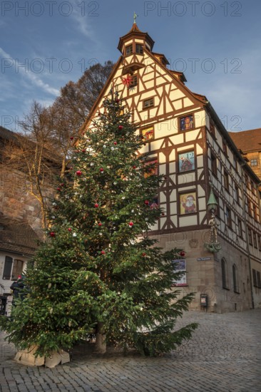 Decorated Christmas tree in front of the historic Pilate House with advent calendar in the evening sun, Beim Tiergärtnertor, Nuremberg, Middle Franconia, Bavaria, Germany