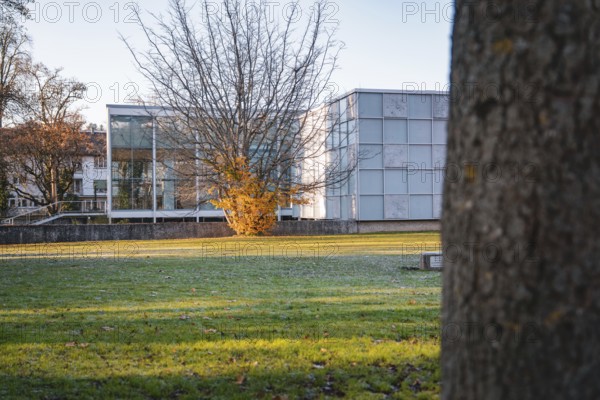 Modern building behind a tree in an autumn park at morning sun, Reuchlinhaus, Stadtgarten Pforzheim, Germany