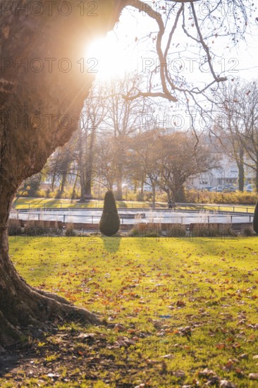 Sunlight falls through the branches of a tree onto a green park area in autumn, Stadtgarten Pforzheim, Germany