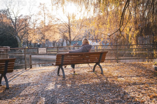 Woman sitting on a park bench in autumn surrounded by golden foliage at sunset, Stadtgarten Pforzheim, Germany