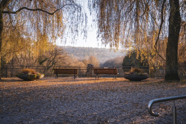 Benches under trees with a view of a valley in autumn, Stadtgarten Pforzheim, Germany