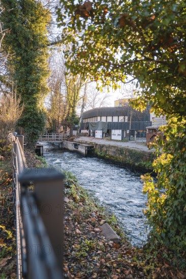 River course with neighboring bridge surrounded by trees and autumn atmosphere, Stadtgarten Pforzheim, Germany