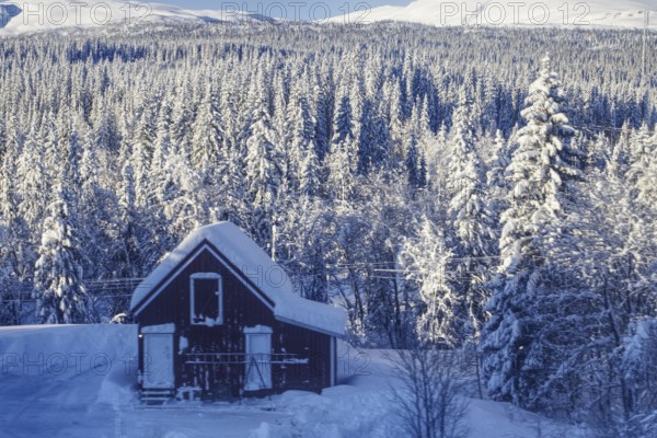 Snowy landscape with a hut on the edge of the forest Norway