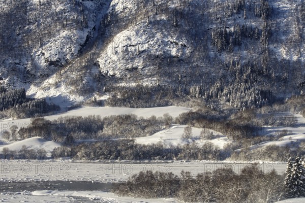 Detailed snowy hills with wooded areas Norway