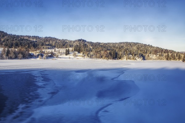 Frozen lake surrounded by snowy forest under clear blue sky, Norway