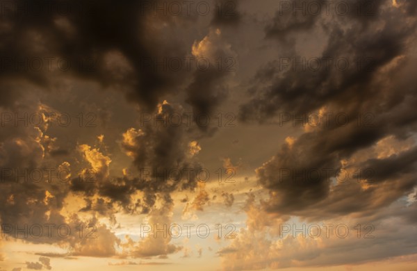 A brilliant sunset casts warm colors across a cheerful meadow. Dark clouds dominate the sky, while golden light penetrates and creates a dramatic and peaceful atmosphere. Bas Rhin, Alsace, France