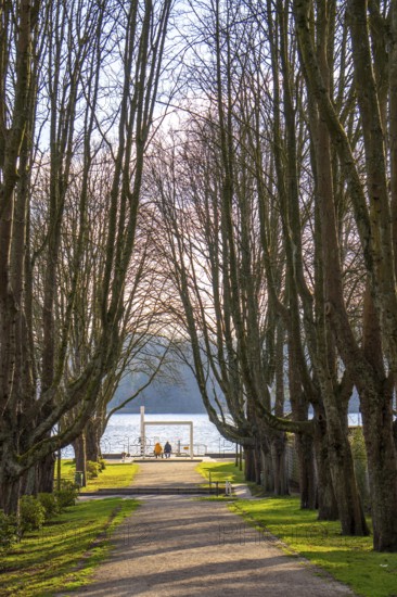 Winter at Lake Baldeney in Essen, Strandbad boat stop, closed in winter, tree-lined avenue leading to the lakeside path, sunny, cold, North Rhine-Westphalia, Germany