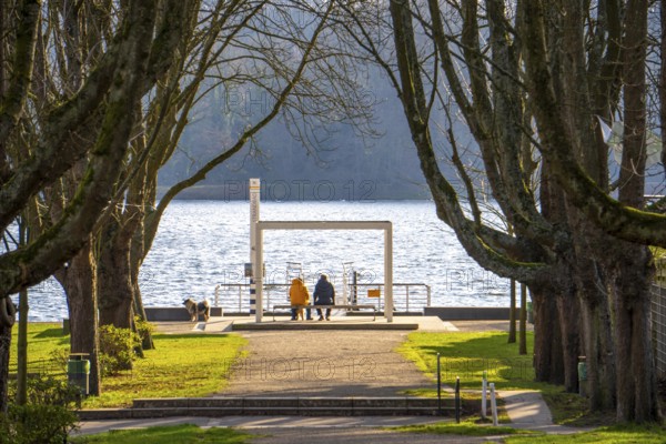 Winter at Lake Baldeney in Essen, Strandbad boat stop, closed in winter, tree-lined avenue leading to the lakeside path, sunny, cold, North Rhine-Westphalia, Germany