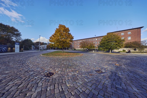 Norway maple (Acer platanoides), brick building, Ministry of Finance, street, central island, bus stop Reventloubrücke, cobblestone pavement, trees with autumn leaves, lawn, blue sky, cumulus clouds, Reventloubrücke, Reventlouallee, Kiel, state capital, independent city, Schleswig-Holstein, Germany