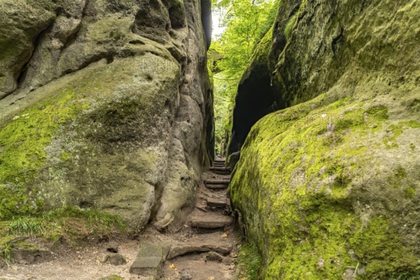 The Knight's Gorge in Oybin, Zittau Mountains, Upper Lusatia, Saxony, Germany