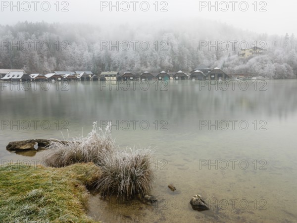 View across Königssee to boathouses and frozen trees in fog, Schönau am Königssee, Berchtesgadener Land, Upper Bavaria, Bavaria, Germany