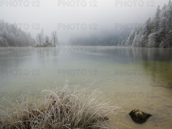 View across Königssee to Christlieger Island and frozen trees in fog, Schönau am Königssee, Berchtesgadener Land, Upper Bavaria, Bavaria, Germany