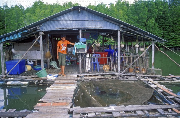 Young man, fish farm in the tidal river near Krabbi, two years in front of the tsunami, Thailand, December 2002, vintage, retro, old, historic