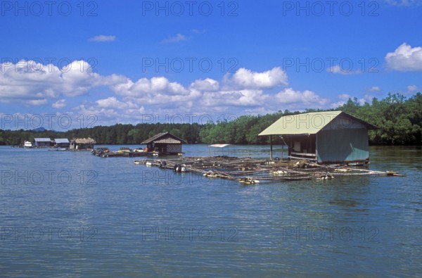 Fish farms in the tidal river near Krabbi, two years in front of the tsunami, Thailand, December 2002, vintage, retro, old, historic