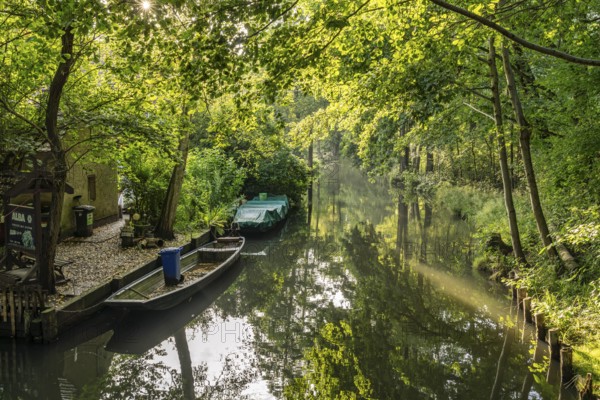 Canal or Spreewaldfließ in the Spreewald near Spreewalddorf Lehde, Lübbenau/Spreewald, Brandenburg, Germany