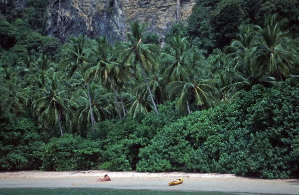 Palm trees, people, kayak, Ao Nang beach, two years in front of the tsunami, Krabi, Thailand, December 2002, vintage, retro, old, historic