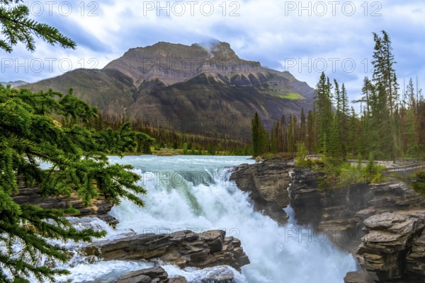 Athabasca falls cascades powerfully through a scenic gorge in jasper national park, alberta, canada, surrounded by coniferous forests and the majestic canadian rockies