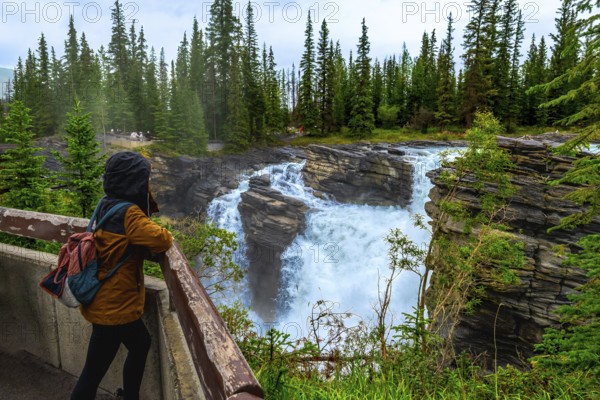Tourist in a hooded jacket and backpack leaning on a wooden railing, admiring the powerful athabasca falls surrounded by lush pine forest in jasper national park, alberta