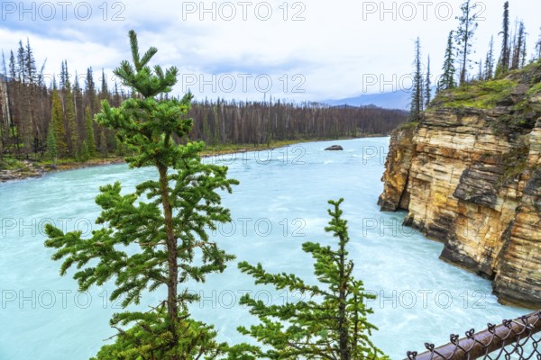 Athabasca falls, located in jasper national park, showcases its powerful turquoise water flowing through a canyon, surrounded by lush pine trees and a dramatic rocky landscape