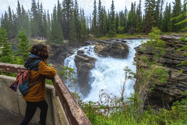 Tourist with backpack leaning on a wooden railing, admiring the powerful athabasca falls plunging into a rocky gorge in jasper national park, alberta, canada, surrounded by lush evergreen forest