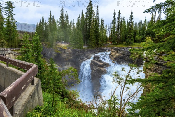 Athabasca falls, located in jasper national park, alberta, canada, displays its powerful cascading water amidst a lush evergreen forest, creating a breathtaking natural wonder