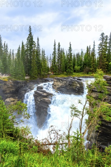 Powerful athabasca falls cascades over rocky cliffs in jasper national park, alberta, canada, surrounded by lush green forest and cloudy sky, creating a breathtaking natural landscape