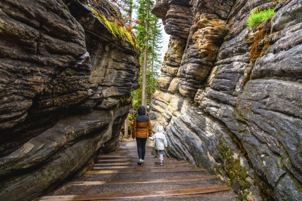 Tourists walking down wooden stairs surrounded by towering rock formations and lush greenery at athabasca falls in jasper national park, alberta, canada