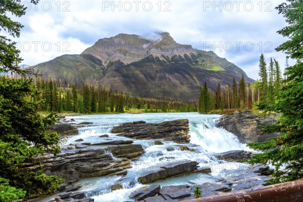 Athabasca falls cascades powerfully through rugged rocks. Surrounded by lush forests and towering mountains in jasper national park. Alberta. Canada. The scene captures the essence of natural beauty