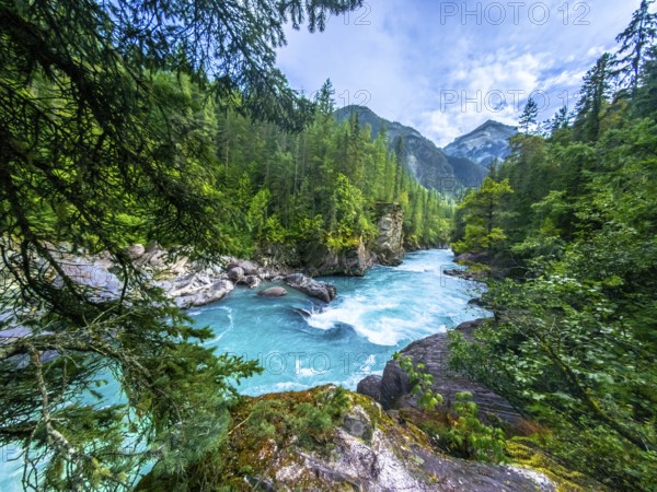 The turquoise water of the fraser river flows through a lush green forest, framed by majestic mountains, creating a breathtaking scene in mount robson provincial park, british columbia, canada