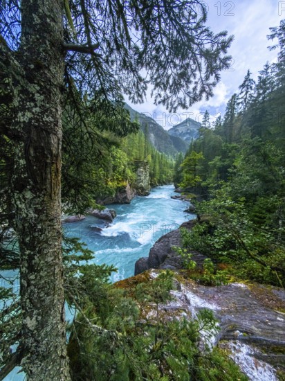 Turquoise water flows rapidly through a rocky gorge surrounded by lush green forest in mount robson provincial park, british columbia, canada, creating a breathtaking natural landscape