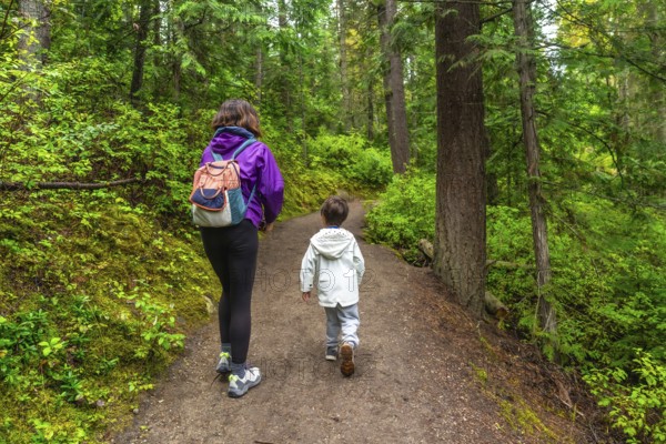 Mother and son are enjoying a leisurely hike along a tranquil forest path, surrounded by vibrant greenery and towering trees, creating a serene and adventurous atmosphere