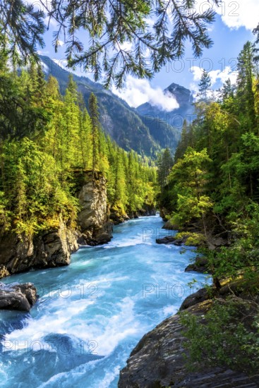 Turquoise water flowing through a canyon in the canadian rockies, surrounded by lush green forest and framed by a clear blue sky and mountain peak