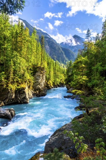 Turquoise water flows rapidly through a canyon in mount robson provincial park, surrounded by lush green forest and towering mountains under a bright blue sky