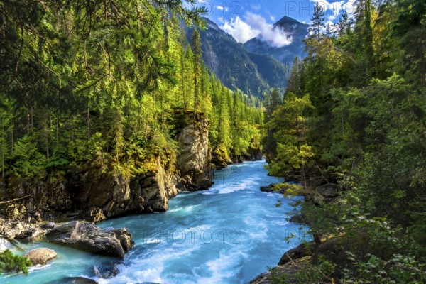 Turquoise water flows rapidly through a canyon surrounded by lush green forest and mountains in mount robson provincial park, british columbia, canada, creating a breathtaking natural landscape