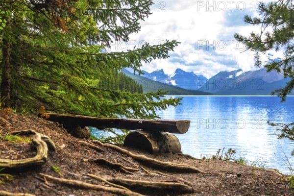 Weathered wooden bench nestled among trees offers a tranquil spot for admiring breathtaking views of turquoise maligne lake and majestic mountains in jasper national park, alberta