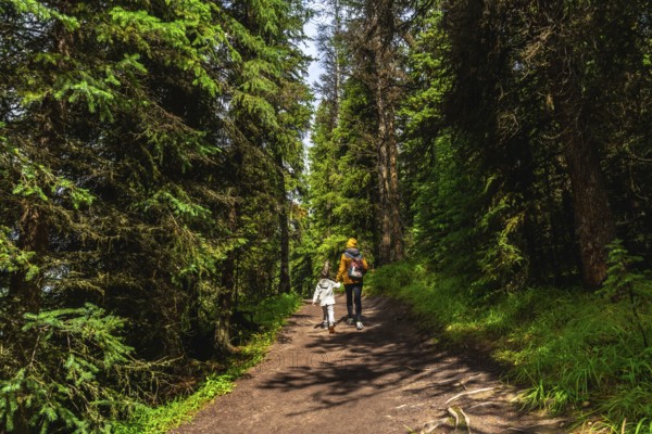 Mother and child walking on a path in a lush green forest near maligne lake in jasper national park, alberta, canada, enjoying the beauty of nature during a sunny summer day