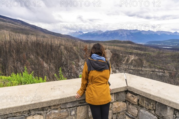 Hiker wearing a yellow jacket is enjoying the view of a burned forest and mountains in jasper national park, showing the impact of wildfires on the environment