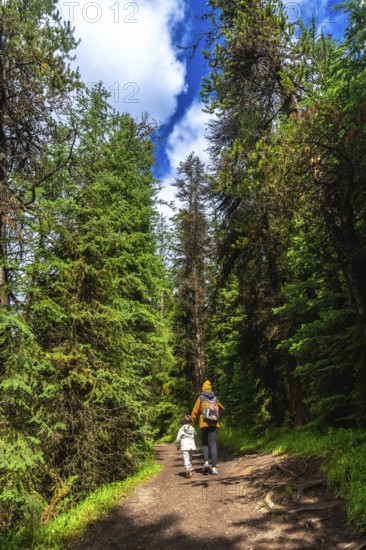 Mother and child walking on a trail enjoying the pristine nature of the canadian rockies in jasper national park, a unesco world heritage site