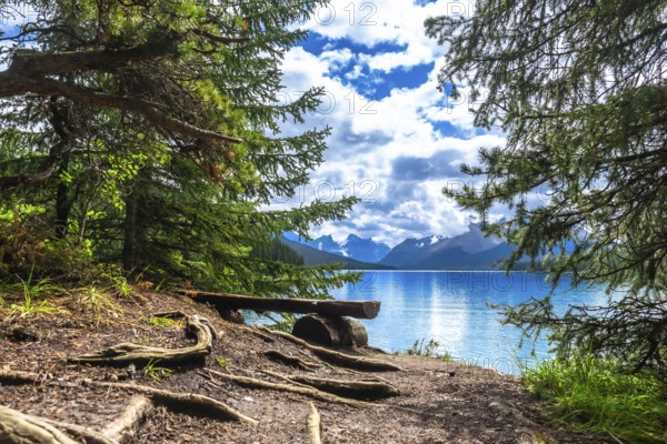 Wooden bench nestled among trees on the shore of tranquil maligne lake, offering breathtaking views of the canadian rockies in jasper national park on a summer day