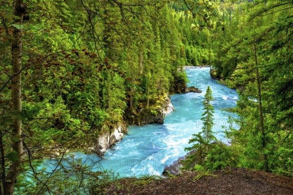 Turquoise water flows through a lush green forest in mount robson provincial park, british columbia, canada, creating a breathtaking natural landscape
