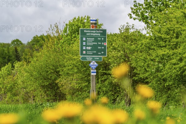 Hiking trail signs and flowers on the ridge trail through the Ore Mountains, health resort and toy village Seiffen, Ore Mountains, Saxony, Germany