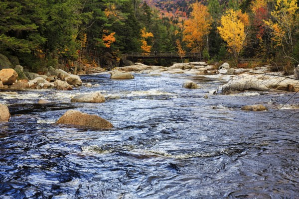Rapids, Rocky Gorge, Swift River, picturesque riverscape near Albany, autumn leaves, Indian Summer, White Mountain National Forest, Kancamagus Highway, New Hampshire, New England, USA