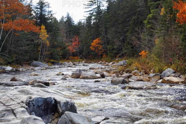 Rapids, Rocky Gorge, Swift River, River Landscape near Albany, Autumn Leaves, Indian Summer, White Mountain National Forest, Kancamagus Highway, New Hampshire, New England, USA