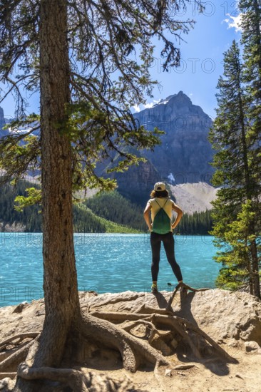 Female tourist standing by a pine tree, admiring the turquoise waters of moraine lake and the majestic canadian rockies in banff national park, alberta, canada, on a beautiful sunny day