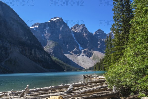 Moraine lake in banff national park showcases stunning turquoise waters reflecting the canadian rockies, bordered by lush forests and scattered driftwood logs