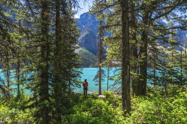 Tourist with a backpack enjoying the breathtaking view of turquoise moraine lake, surrounded by lush pine trees and majestic mountains in banff national park, alberta