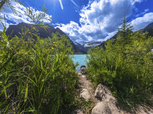 Sun shining over a rocky path leading through lush vegetation to the turquoise waters of moraine lake with the canadian rockies in the background in banff national park, alberta, canada